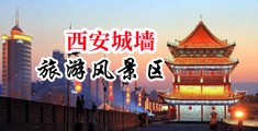 岳的又肥又大水多喷水中国陕西-西安城墙旅游风景区